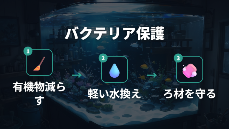 バクテリアを守る掃除と水換えの基本手順