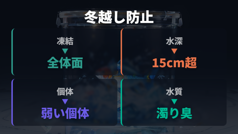 冬越しで死なせないための注意点を順番に確認する