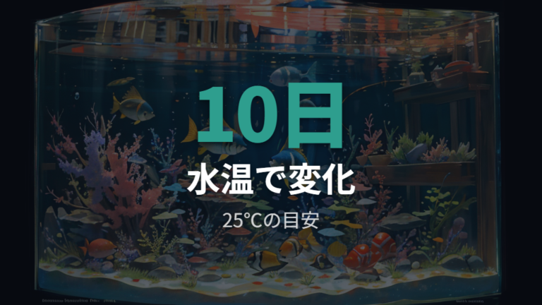 受精卵が孵化するまでの日数は水温で変わる?