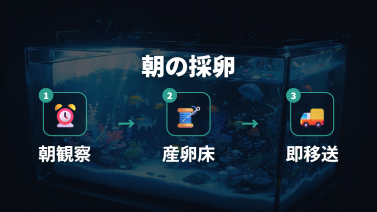 採卵するタイミングの目安は朝の確認を習慣にする