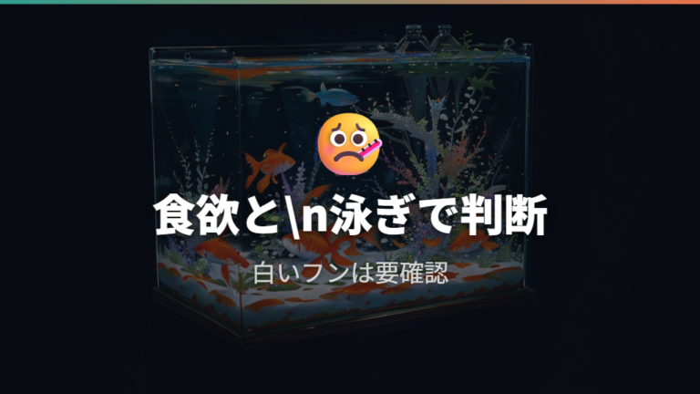 お腹が膨らむ病気の症状は食欲と泳ぎ方に出る