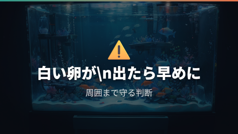 白い卵やカビの対処法は早期除去が基本