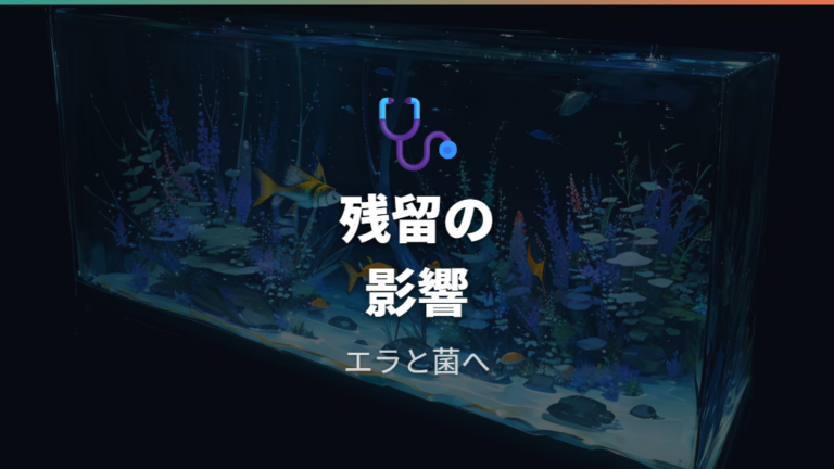 カルキが残る水の危険性はエラとバクテリアへの負担