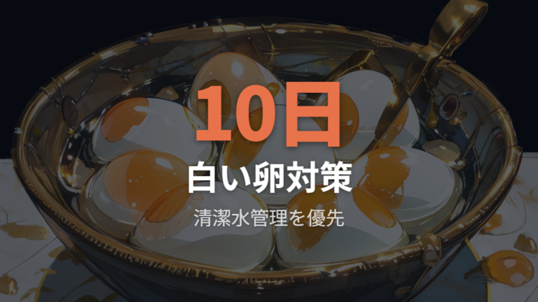 卵のカビと孵化対策は白い卵の除去と清潔な水管理が基本