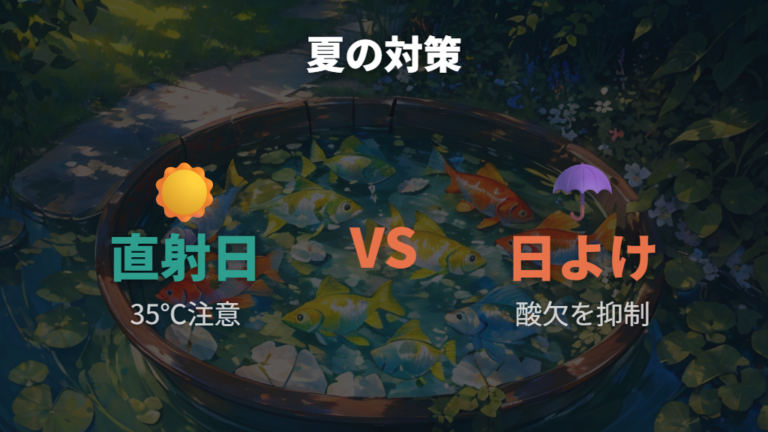 夏の水温上昇と日よけ対策は酸欠も意識する