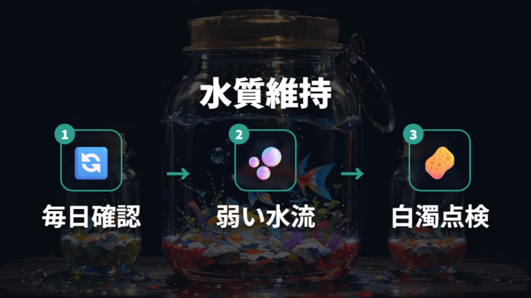 水換えとエアレーション管理で酸素と清潔さを保つ