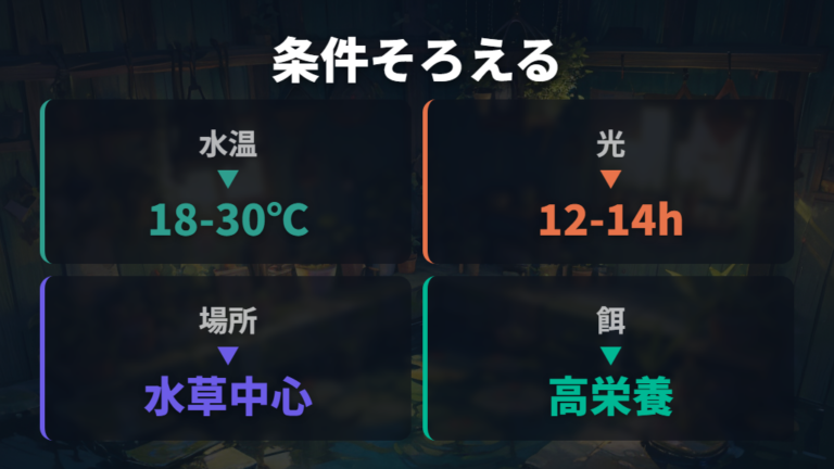 産卵しやすい水温と環境は温度・光・産卵床で整える