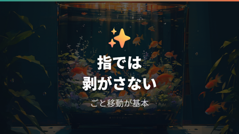 卵を見つけた後の保護方法でやってはいけない扱い