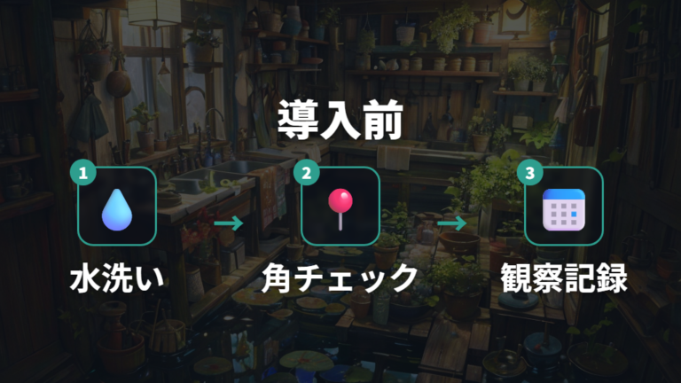 水草を入れる前の洗い方と安全確認の手順