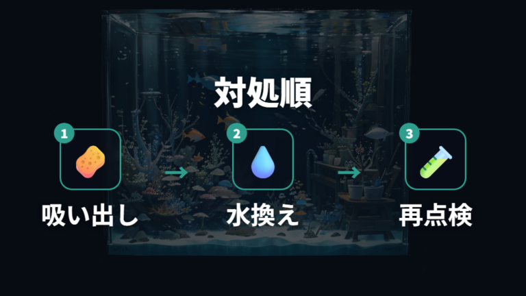 水換えと掃除での対処法を順番に進める