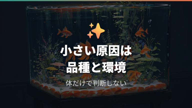 10年でも小さい金魚の原因は品種か環境か