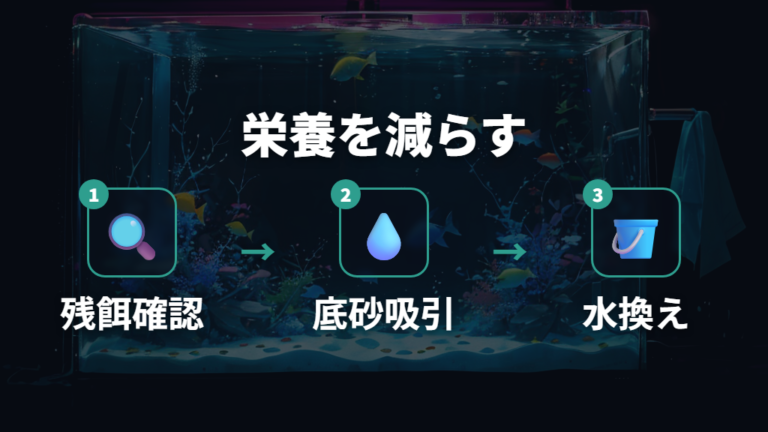 餌と水換えでコケの栄養を減らす方法