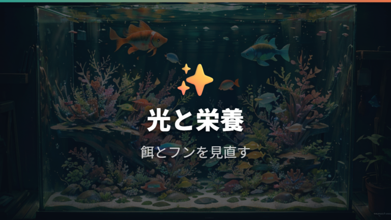 コケ取りだけで解決しない原因は光と栄養にある