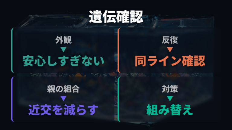 遺伝や近親交配による影響は親がまっすぐでも起こる