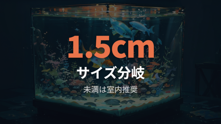 稚魚や針子の冬越し方法はサイズを見て分ける