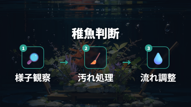 稚魚にエアレーションは必要かは成長段階と水流で判断する