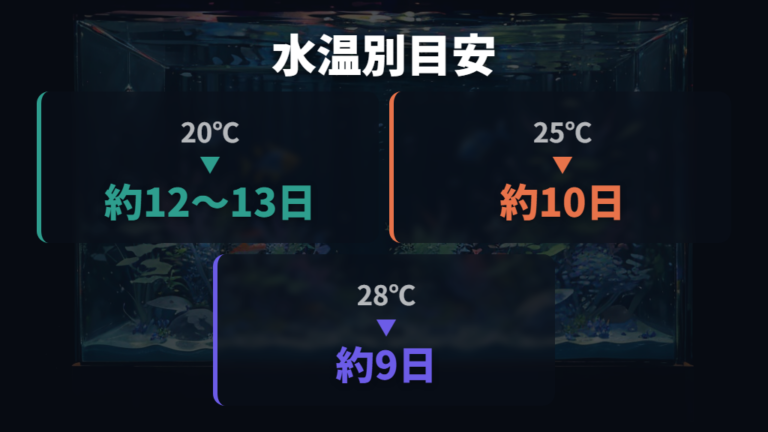 受精卵が孵化するまでの日数を水温別に比べる