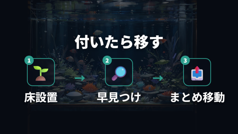 産卵床で卵を守る方法は付いたらすぐ移動しやすくすること