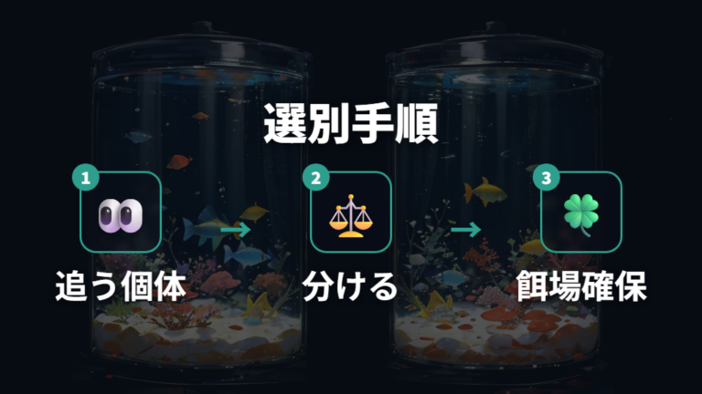 サイズ差が出た稚魚の選別で共食いを防ぐ