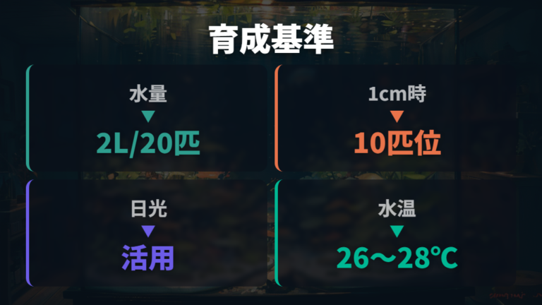 稚魚を落とさない水槽管理は水量と日光が基本