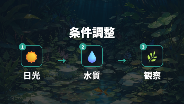 日光と水の状態を確認する