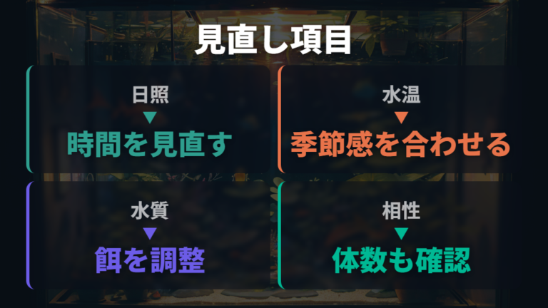 卵を産まない原因と見直しは水草だけに絞らない