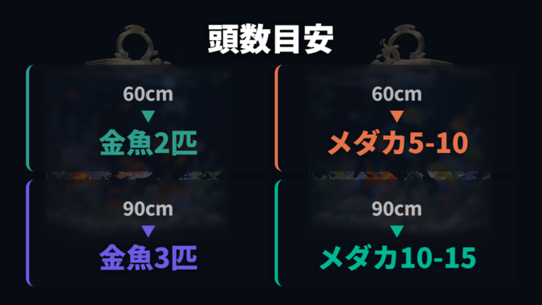 混泳に必要な水槽環境と頭数の目安を比較する
