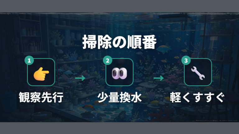 水換えと掃除で悪化させない方法は少量と軽いすすぎが基本