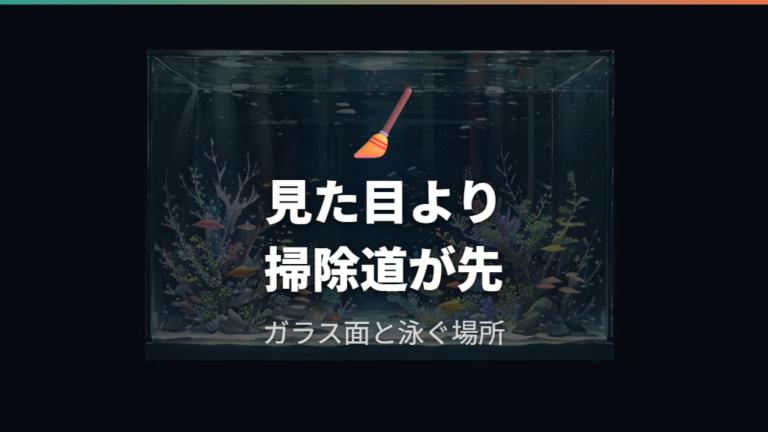 掃除しやすい和風レイアウトはガラス面と遊泳スペースを残す