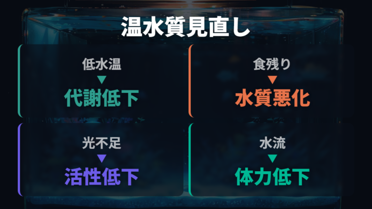 お腹が膨らむ主な原因を水温と水質から見直す