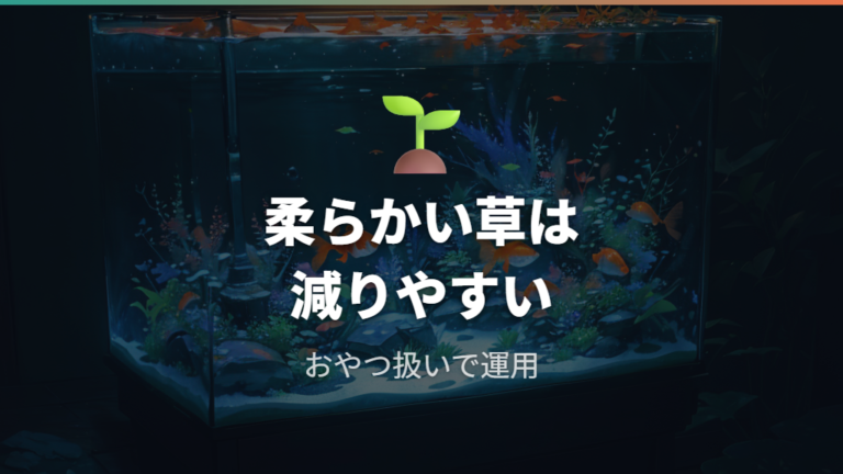 アナカリス・マツモ・カボンバは食べられる前提で使う