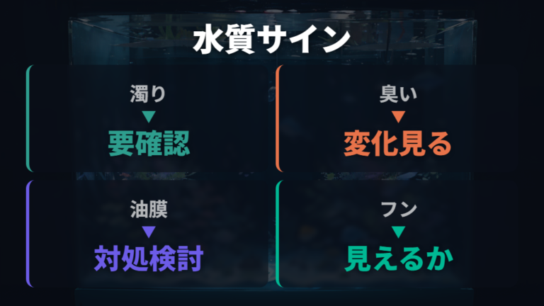 水質悪化と食欲低下の関係は水の見た目だけで判断しない