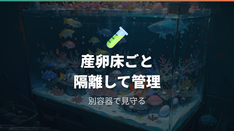 採卵後は産卵床ごと隔離して孵化まで管理する