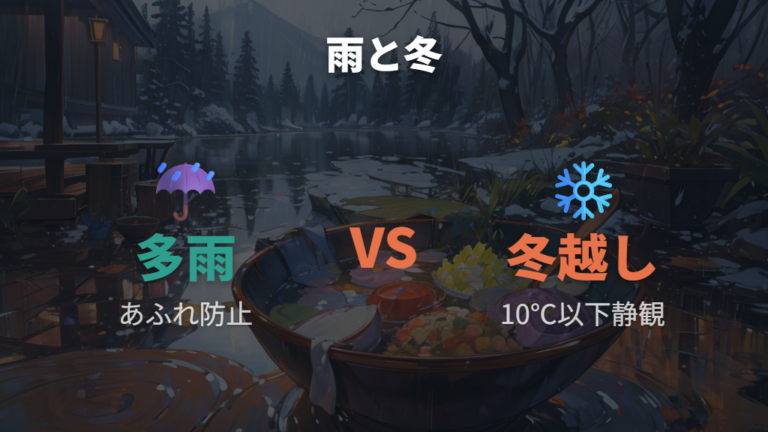 冬越しと雨の日の管理方法は水を動かしすぎない