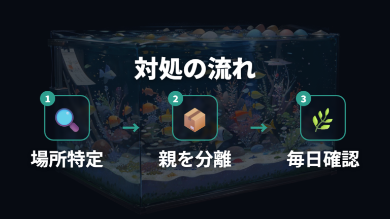 卵を見つけた後の対処法は親魚から分けることが基本