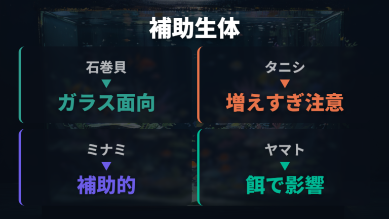 エビや貝と組み合わせるコケ対策