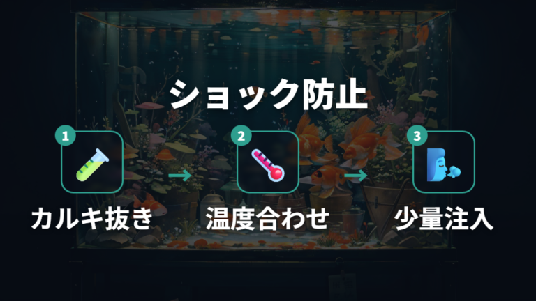 カルキ抜きと水温合わせでショックを防ぐ