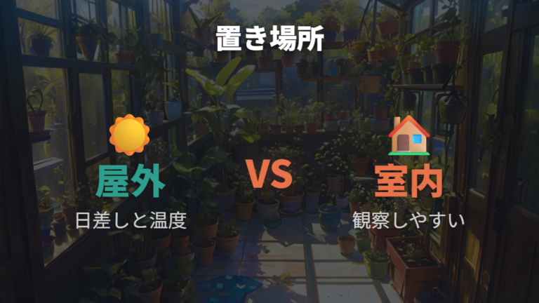 屋外・室内で置き場所を見直す