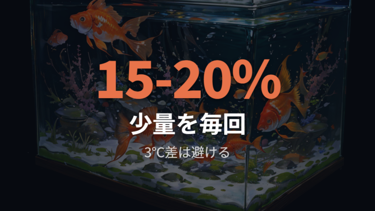 夏の水換え頻度と注意点を水の汚れ方で考える