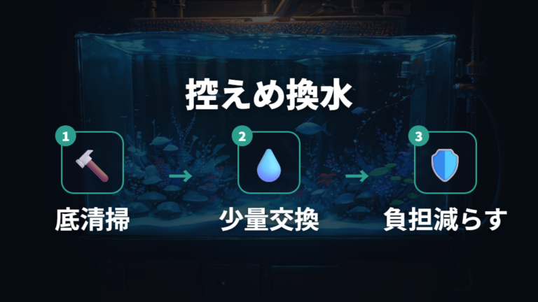 稚魚を落とさない水槽管理は水換えを控えめに整える