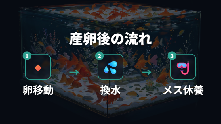 産卵後の卵と親魚の扱いはすぐ隔離して水を替える