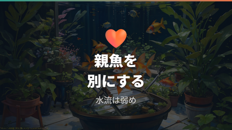 孵化後すぐの針子管理は親魚から隔離して水流を弱くする