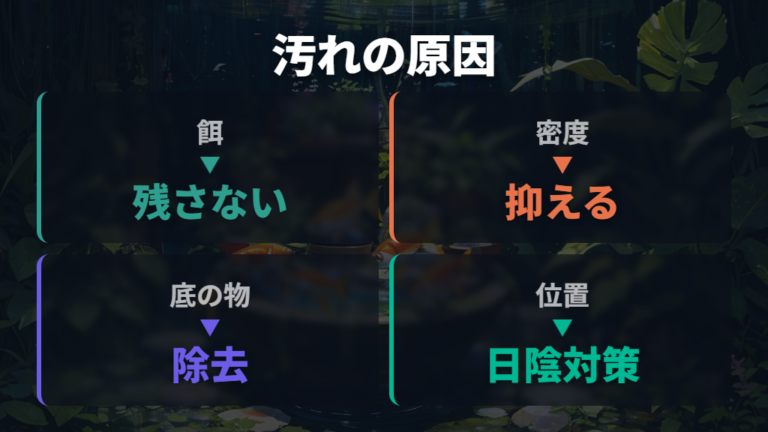 水が汚れる原因と対策は餌と密度から見直す