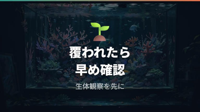 サンゴや水草に広がった時は放置リスクを先に考える