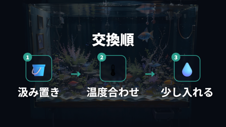水換えで水道水を使う手順を5段階で確認する