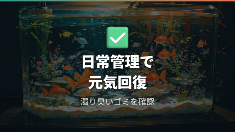 水換え後に弱る原因を防ぐ日常管理
