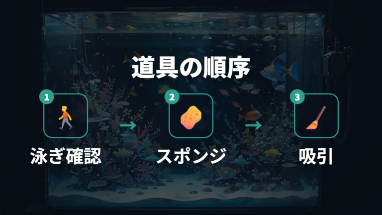 掃除道具でコケを落とす手順
