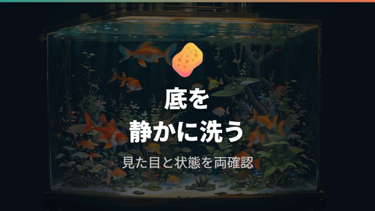 底の汚れを吸い出しながら水を替える