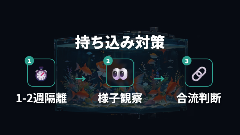 白いフンを招く原因と予防は新入り金魚の持ち込み対策も大切