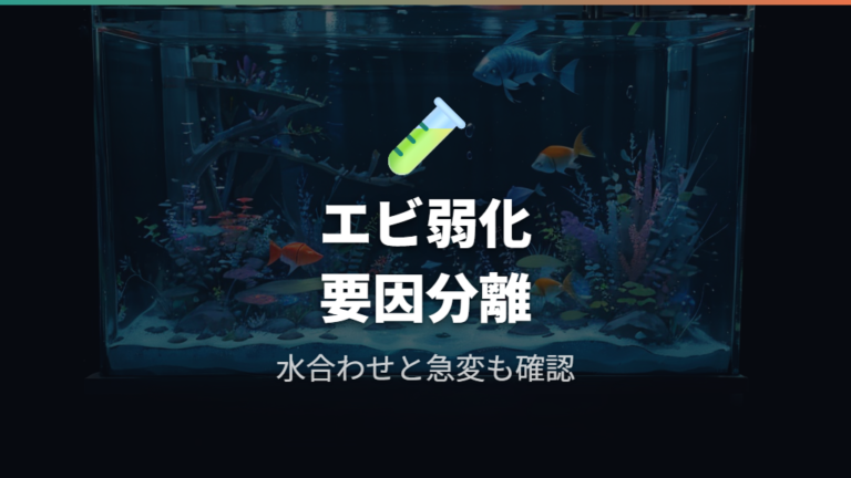 エビが弱る原因になるケースでは水合わせと急変も疑う